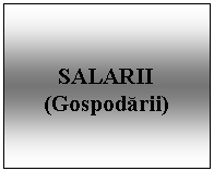 Text Box: SALARII
(Gospodarii)
